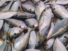 剥皮牛-茂港柏香(侨港路店)