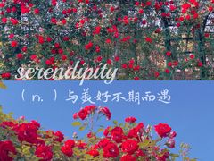 -上海辰山植物园