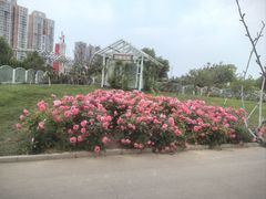 -太阳宫公园