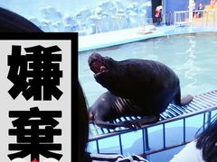 -太原动物园