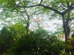 -厦门大学(思明校区)