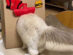 -麦当劳(杭州文三路店)