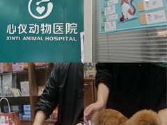 -心仪动物医院·牙专科·肿瘤·心脏科(西客站院)