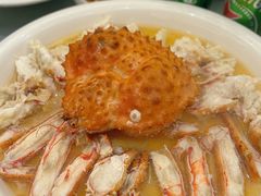 -国惠大酒楼(宝龙店)