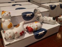 -猫咪博物馆(顶澳仔猫街店)