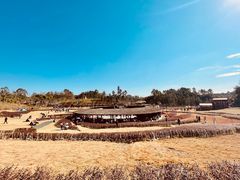 -黄龙溪欢乐田园