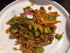 -陈麻婆豆腐总店