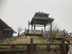 -王莽岭风景区
