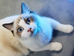 -零纪元VR体验馆·桌游(黄浦店)