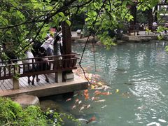 -兰溪地下长河