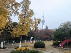 -南京古林公园