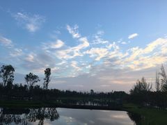 -白鹭湾湿地公园