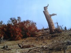 -西安大唐西市博物馆