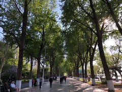 -人民防洪胜利纪念塔