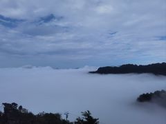 -朱雀国家森林公园