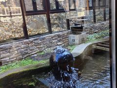 -泰莲庭·溪畔餐厅(雁栖湖店)