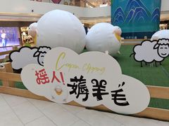 -阳光天地