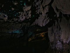 -怀托摩萤火虫洞