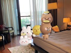 -上海崇明金茂凯悦酒店