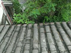 -贵人御膳