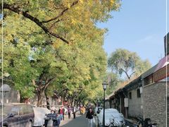 -北京国子监胡同