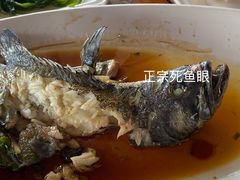 广式蒸石斑鱼-蓝湾碧波·老字号·疍家非遗海上餐厅