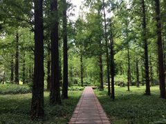 -国家植物园南园