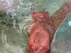 -正佳极地海洋世界