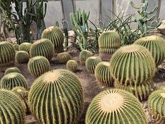 -北京植物园-展览温室