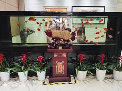 -雅和生态渔庄·宜城锅巴饭(龙灵山公园店)