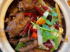 -福苗小骆驼烧烤(大唐不夜城店)