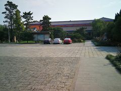 -洛阳古墓博物馆