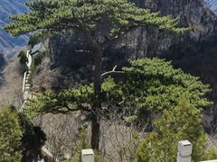 -圣莲山风景区