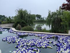 -苏州湾·王焰温泉