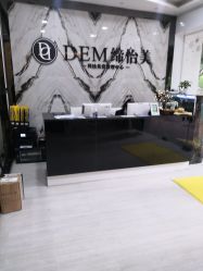 -DEM缔怡美科技美容
