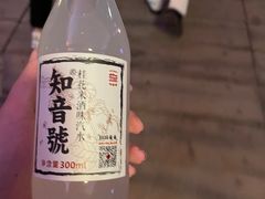 -武汉知音号