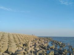 -碧海金沙