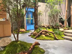 -森SPA·泰式按摩·精油Massage(宝安中心店)