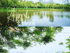 -艾溪湖湿地公园