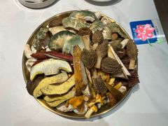 菌类拼盘-七采菌园·野生菌石锅鱼(环城北路店)