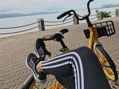 -深圳湾公园(南山区)