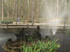 -合肥滨湖国家森林公园