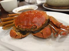 -中发源·清真餐厅(春风店)