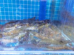 -前王院•巧克力海鲜市集餐厅(万平口店)