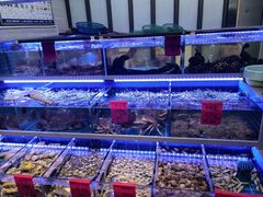 -金海湾海鲜排档(朱家尖店)