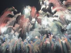 -南宁花花大世界景区