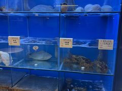 -大唐名家·息壤店