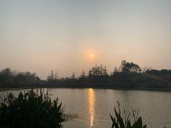 -桤木河湿地公园