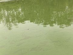 -红栌温泉山庄生态美食餐厅