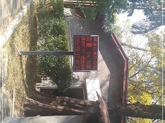 -晓港公园
